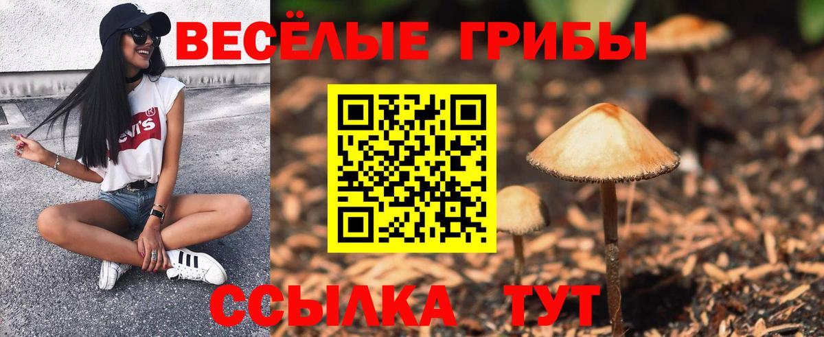 Галлюциногенные грибы прущие грибы  Вход с VPN  Ухта  Галлюциногенные грибы Magic Shrooms 