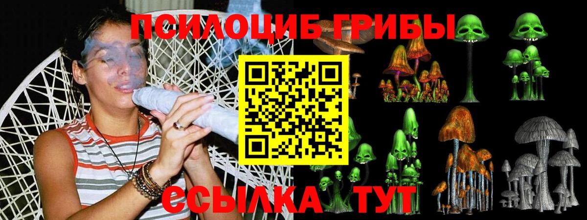 Псилоцибиновые грибы Psilocybine cubensis Ухта