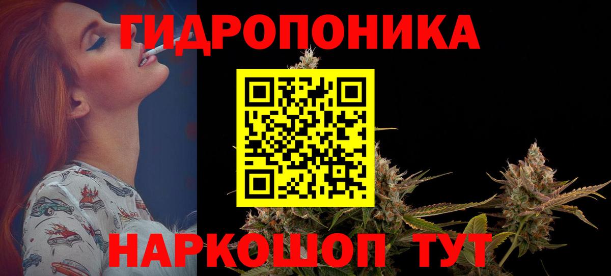 Бошки Шишки конопля Ухта